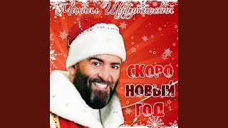 Новый Год в салоне самолета
