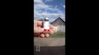 Вакцинация голубей. | Правила вакцинирования голубей