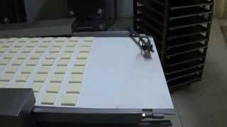 Автоматический укладчик изделий PASTRY LINE