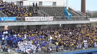 ブラバン＆チア（白鴎大学足利高等学校）　2013秋季関東大会