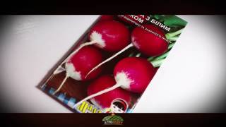 Семена Редис красный с белым кончиком - Агролидер