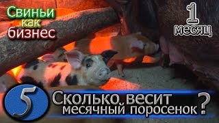 ДЮРКИ В МЕСЯЦ