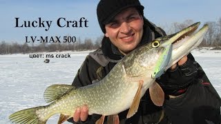 Ловля на ратлин зимой. Щука на LV-MAX 500 от Lucky Craft.