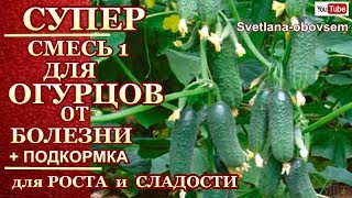 СУПЕР СМЕСЬ №1 ОТ БОЛЕЗНИ ОГУРЦОВ + ПОДКОРМКА  для РОСТА и СЛАДОСТИ ПЛОДОВ