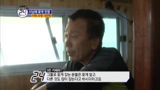 서해 대천항의 꽃게잡이 배의 조업작업 특징은?_채널A_관찰카메라24시간 55회