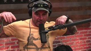 Joe Rogan on Gender Pay Controversy and Language Policing