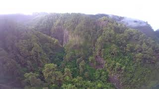 VSC - Reserva mundial de Los Tiles - La Palma HD