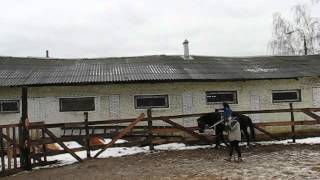 Конно-спортивный клуб Каскад. Первые соревнования Клуб Каскад