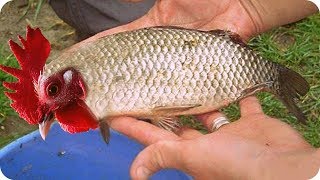 Самые КРУТЫЕ САМОДЕЛКИ! Полезные приспособления и Полезные Изобретения Своими Руками  Самоделки 2018