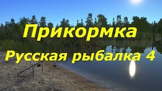 Русская рыбалка 4. Прикормка