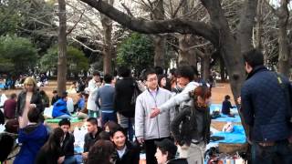 Hanami @ Yoyogi Park 2012