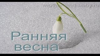 Ранняя весна: как просыпается природа