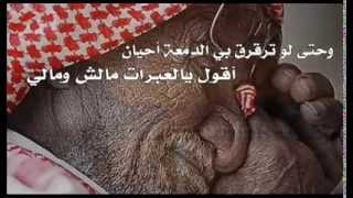 شيلة علمني | كلمات الشاعر محسن بن فطيس | أداء المنشد حامد الحلافي HD