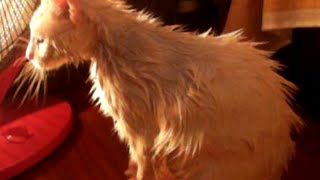 Hot wet pussy
