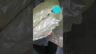 Проверка кузова (под капотом и под крышкой багажника) Toyota Camry