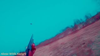 Охота на вальдшнепа 2018!