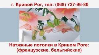 Кривой Рог Натяжные потолки (фото, цены) 067-395-0-800