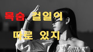 라오스여행과 창업이야기 / 라오스투자,  법인 설립에 목숨 걸지 마세요.