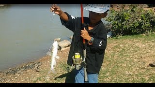 ស្ទូចត្រីឆ្លាំង០២,fishing in cambodia,Amazing fish, fishing in cambodia youtube ,VUTHY AFS