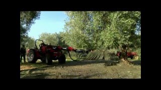 APPLICAZIONE K70 SFILO MAMUT SRL
