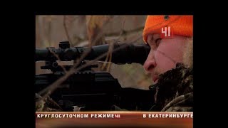 Волки в Свердловской области