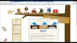 Money birds com Лохотрон или нет, Проверка  Мани Бердс лохотрон