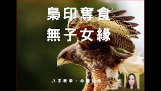 八字教學 | 梟印奪食，無子女緣? | 林子玄