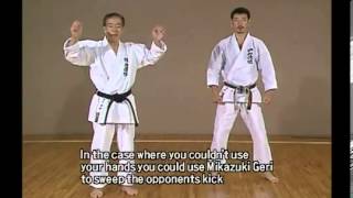 Kanazawa Hirokazu S K I F  Complete Guide Vol 1