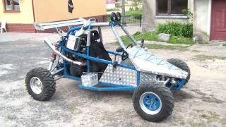 Piranha buggy