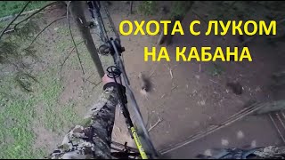 Охота с луком на кабана