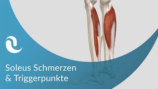 Soleus Schmerzen, Triggerpunkte und deren Aktivierung