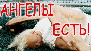 10 ДОКАЗАТЕЛЬСТВ ТОГО, ЧТО АНГЕЛЫ СУЩЕСТВУЮТ! ДЕНЬ РОЖДЕНИЕ МоМо