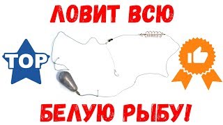 Самая уловистая донная снасть на карася и карпа своими руками