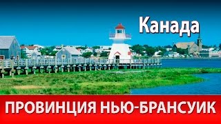 Провинция Нью-Брансуик. Иммиграция в Канаду