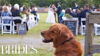 This Woman Will Walk Your Dog Down the Aisle At Your Wedding | BRIDES