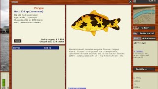 Русская Рыбалка 3.99 Кои Утсури