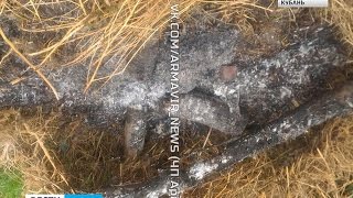 Мужчина заживо сжег щенков на костре