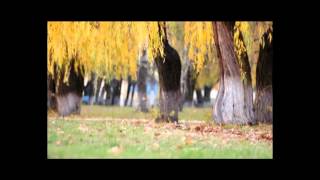 Першотравенськ - SkoolTV