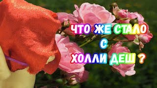 Пони в школе Что же с Холли Деш 2 сезон 10 серия Видео МЛП