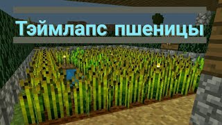 как растет пшеница в MCPE (ускоренная съемка)