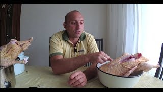Вес тушки кр.серой и линды в 68 дней