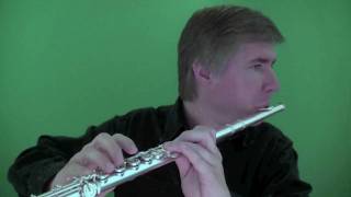 Irish Music on the Classical Flute DVD- Jig Sample
