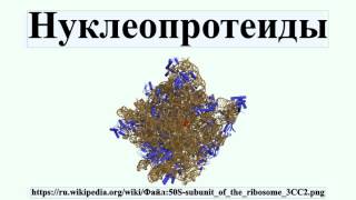 Нуклеопротеиды