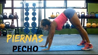 Piernas Bonitas Y Pecho Grande  #curvygirlsfitness