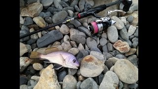 Rockfishing (Чёрное море)