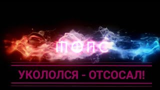 Мопс - УКОЛОЛСЯ - ОТСОСАЛ! ?