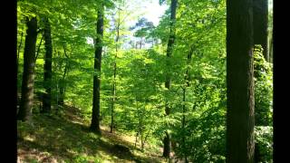 Upadek- CisHa akustycznie i goście