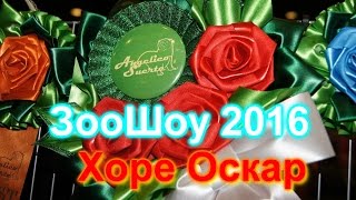 ЗооШоу 2016