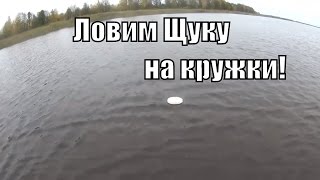 Болото Оршинский мох, на вездеходе Шерп, коп, рыбалка ч6
