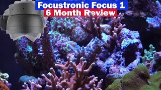 Focustronic Focus 1 Led - 6 Month Review